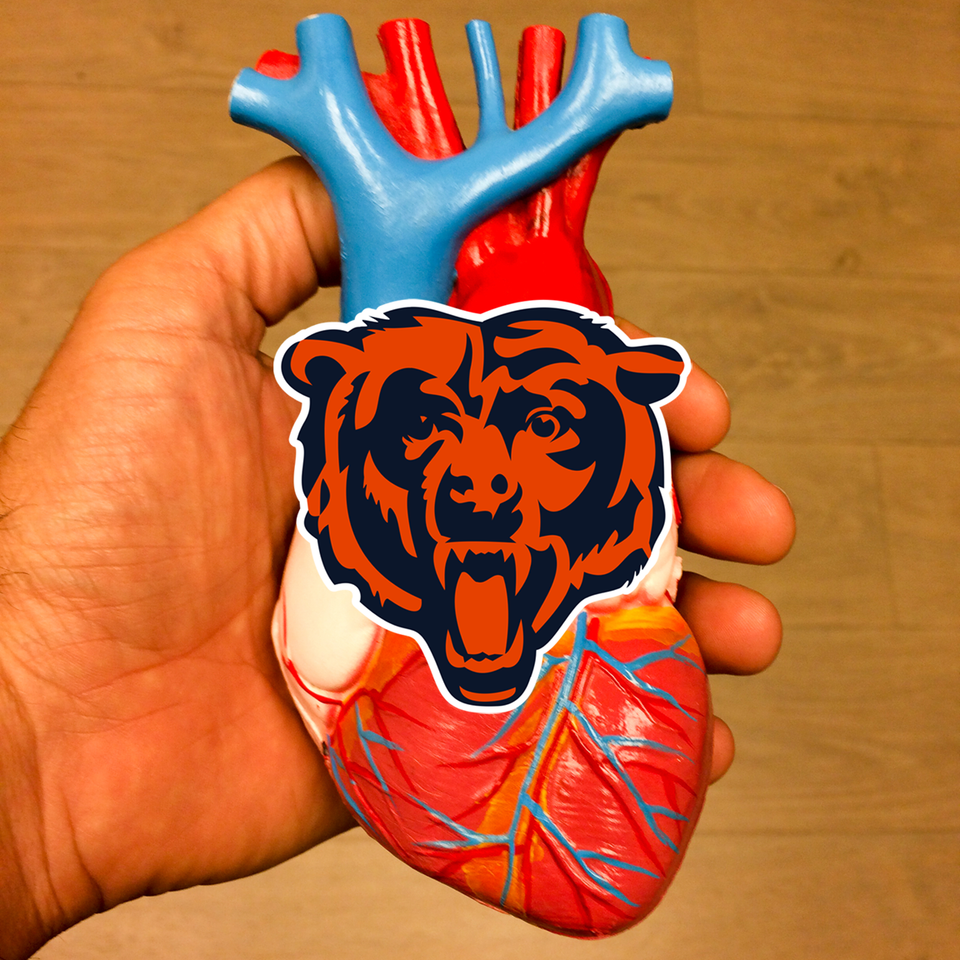 A hand holding a model of a human heart and there's a Chicago Bears logo on the heart
