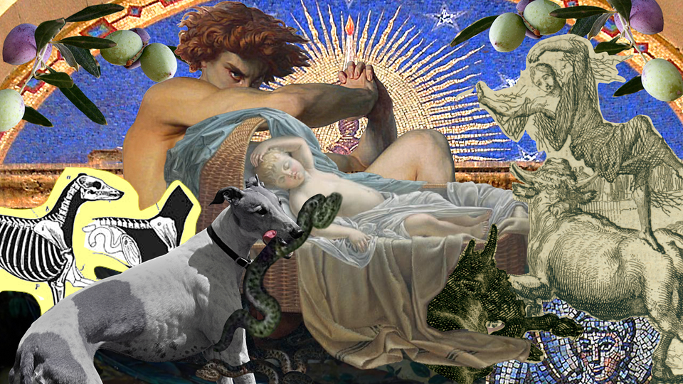 A wild collage of images relating to the tale of Saint Guinefort including a baby asleep in a basket, a greyhound holding a snake in its jaws, beasts, ecclesiastical mosaics, and olives