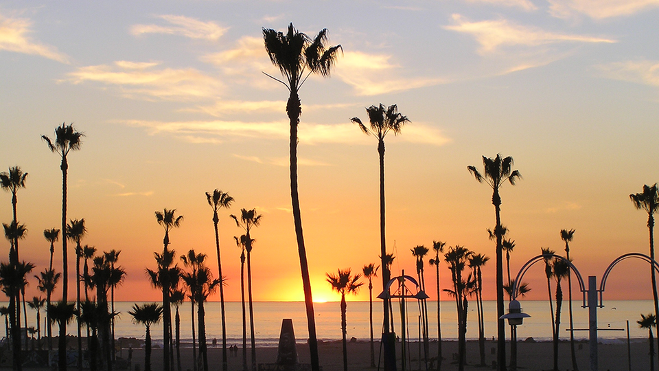 Palm trees silhouetted against sun-glowing ocean horizon and still-blue sky with wispy clouds up top