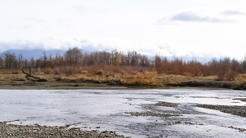 A chilly view of a barren rocky shore overlooking a river and shoreline in front of a dull brown treeline