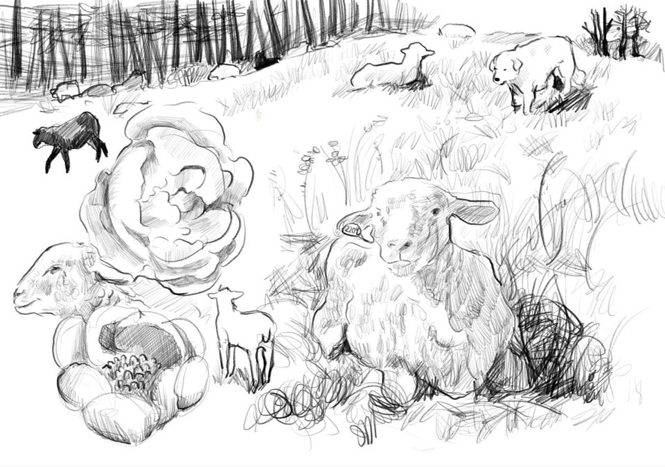 A sketch of peonies, sheep, lambs, and a sheepdog in a peaceful countryside