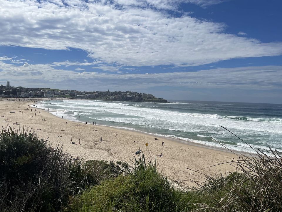 Thrillingly beautiful scene at Bondi Beach with a richly-hued blue sky pale clouds, beach grasses, swimmers on a sandy beach and gently rolling surf beyond