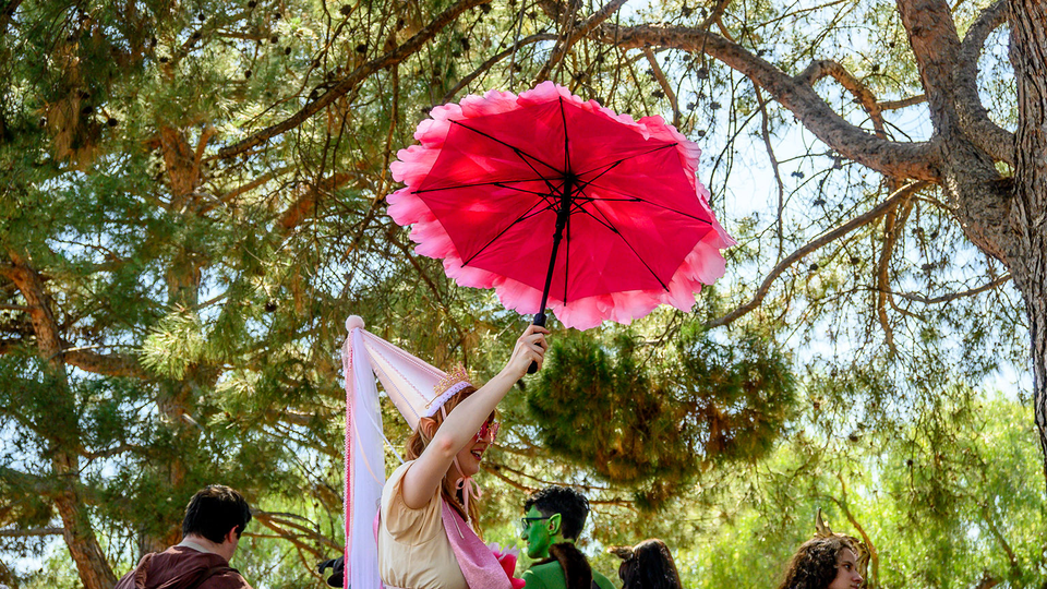 A happy fest-goer wearing one of those pointy princess hats with the ribbon hanging off the top and holding a parasol.