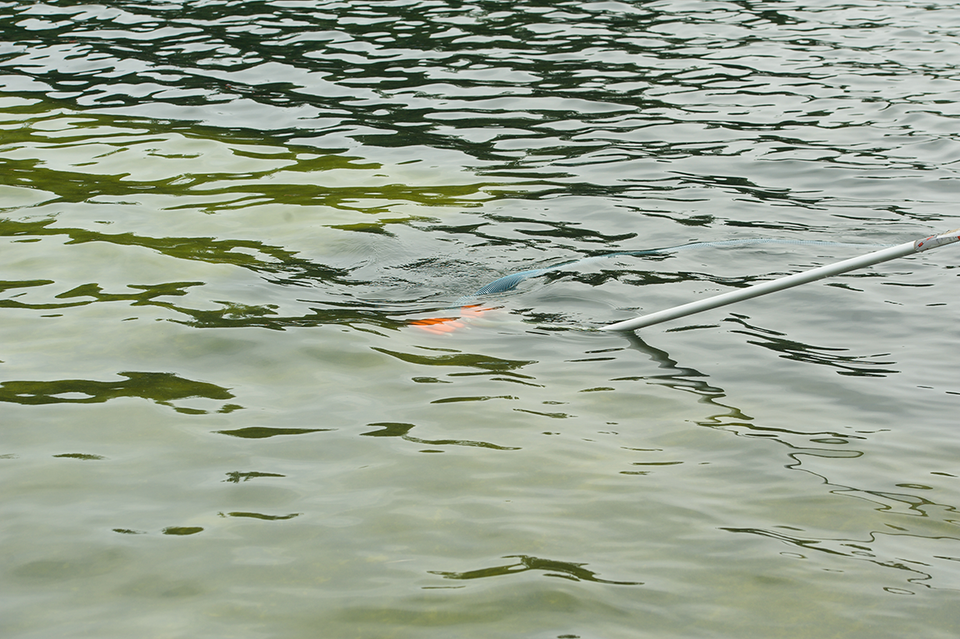 Rippling green water with a pole sticking out.