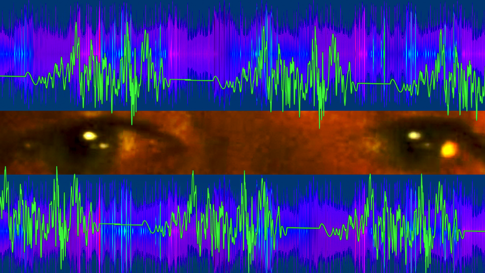 Stylized sound wave sine waves sandwiching the eyes of the No. 1 ranked below.