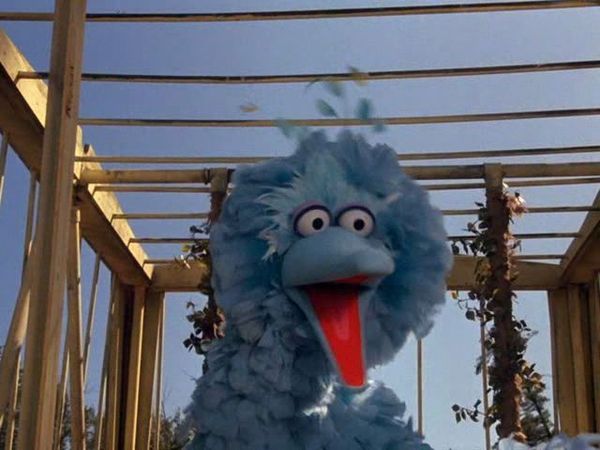 Bird: Here for It, #220