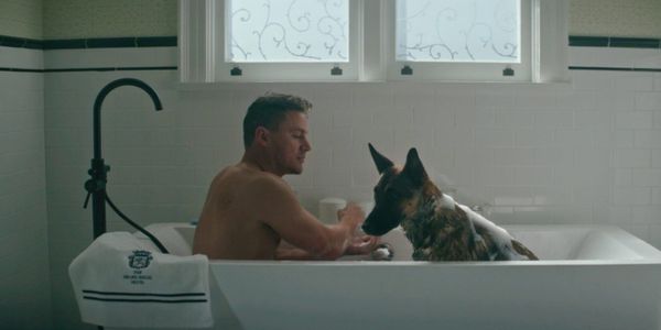 Wed thread: In which we go to the dogs