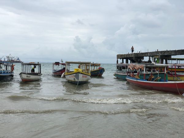 Tide: Here for It #256