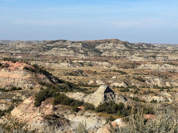 Road: Here for It, #281