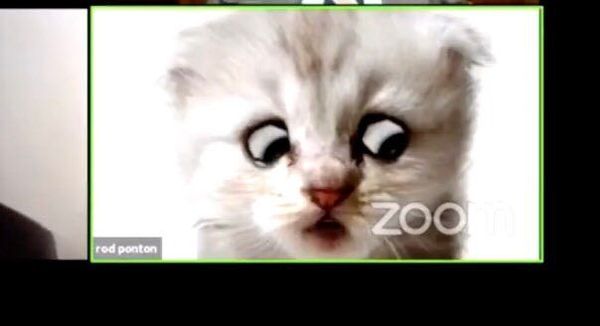 Wed. thread: In which a cat passes the bar and food puppets fascinate