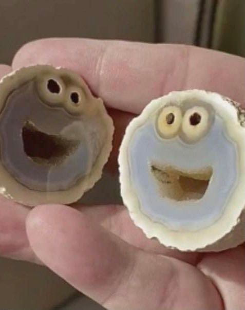 Wed. thread: In which the cookie crumbles