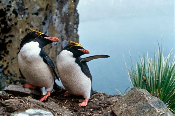 Here for It w/ R. Eric Thomas, #168