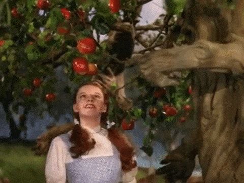 A Trap!: Here for It #205