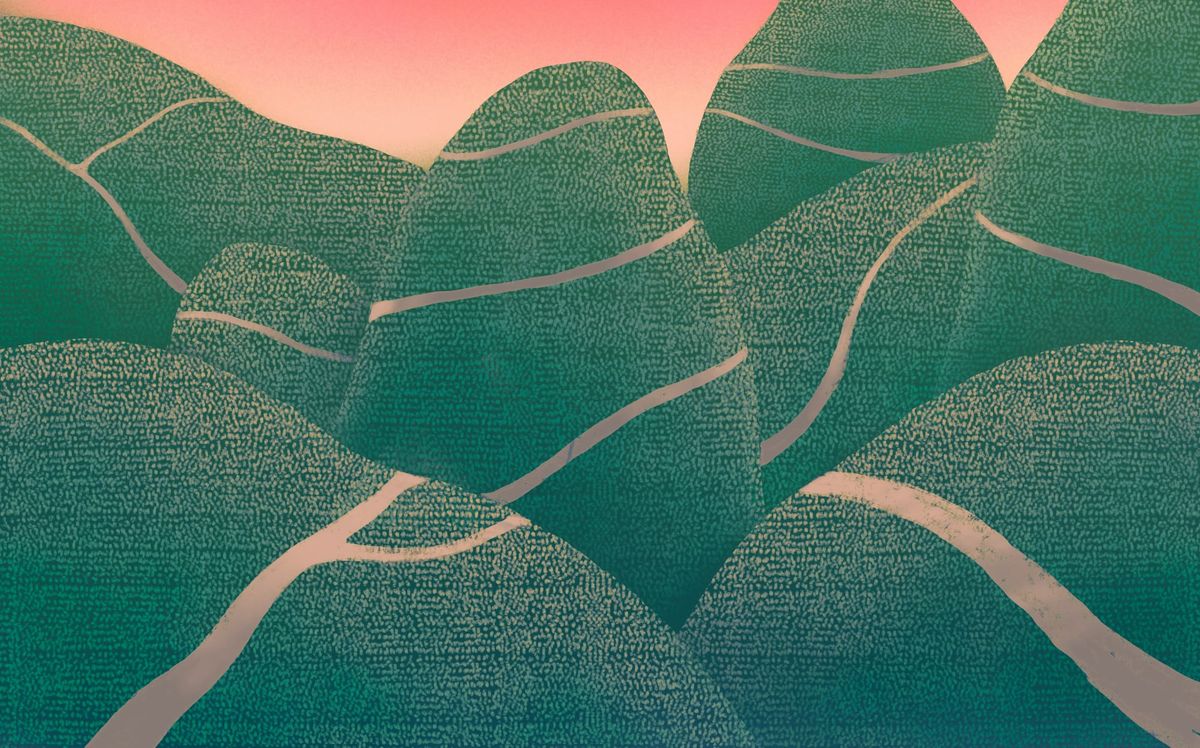 The category of interesting