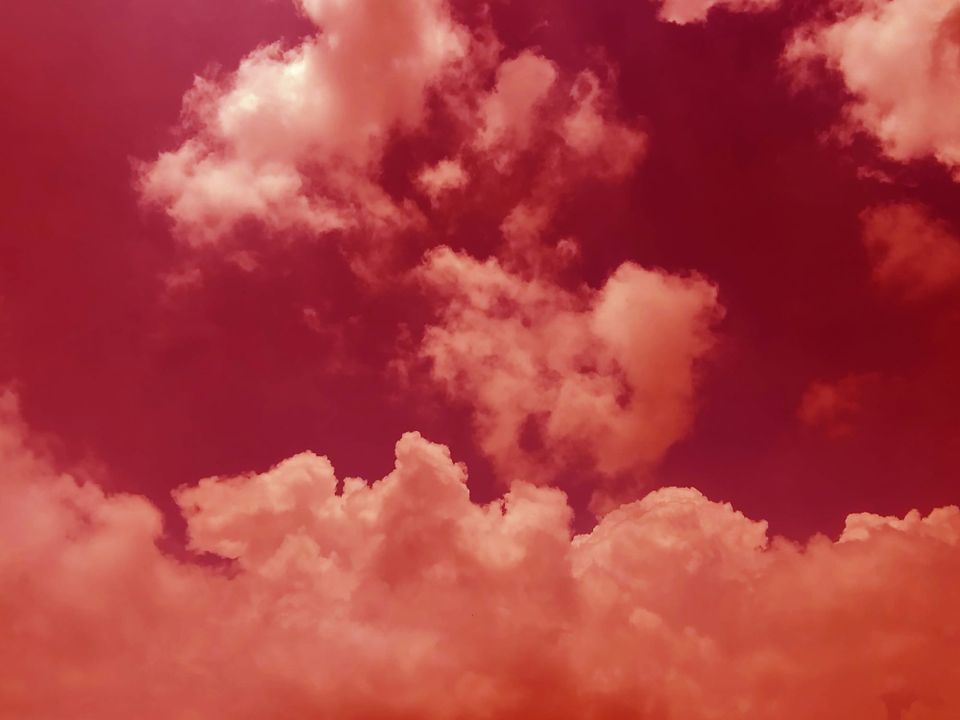 We do not want riches / We want peace and love