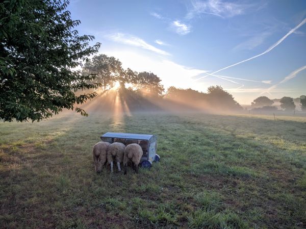 Views from our field