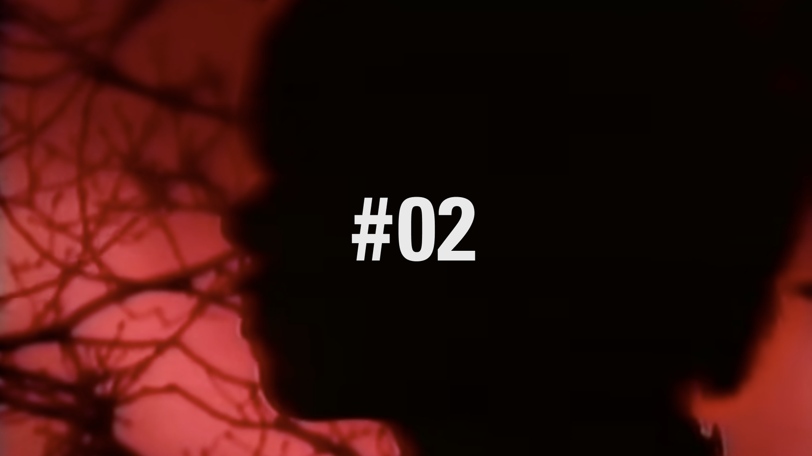 Bulletin #02 · New Imprint: Glasswave Recordings post image