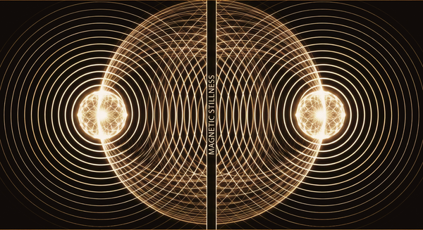 Image of a relational field created by the entrainment of two fields.