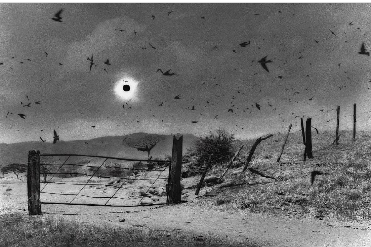 Minus workshop 5, part 1: what for therapy is the cause for theatre is the effect