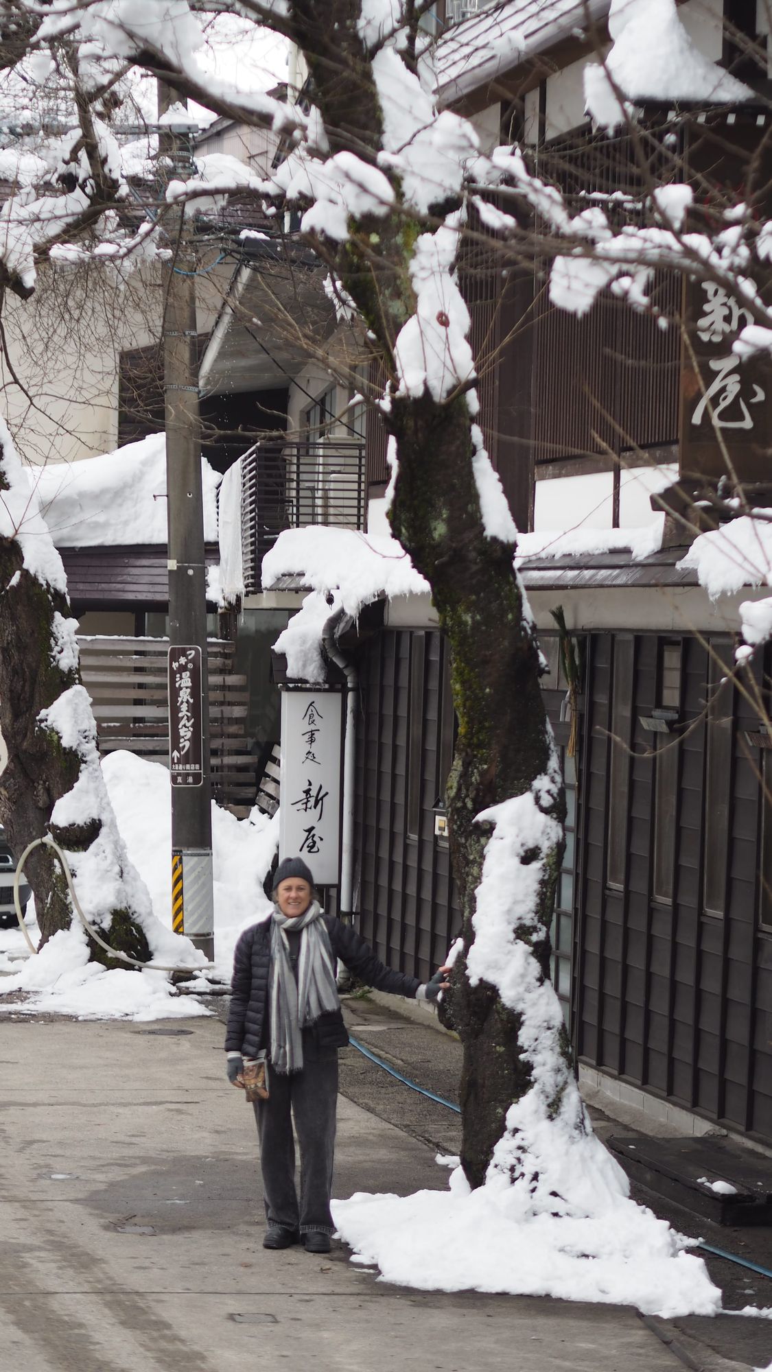 a tree imagines it's a tree