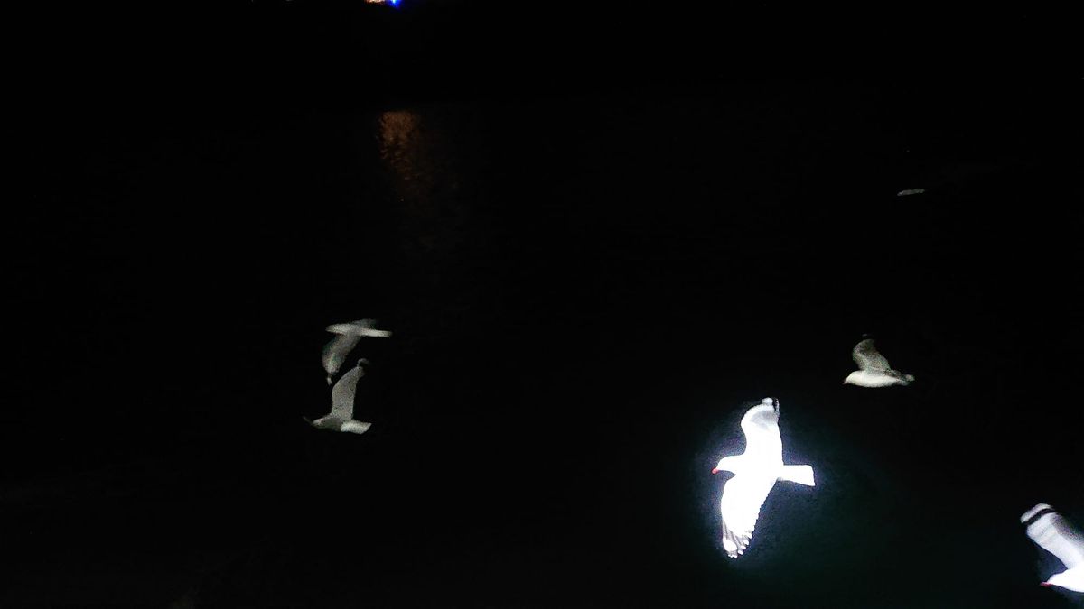 *mpty w*rds by Mario Levrero, minor lit bits