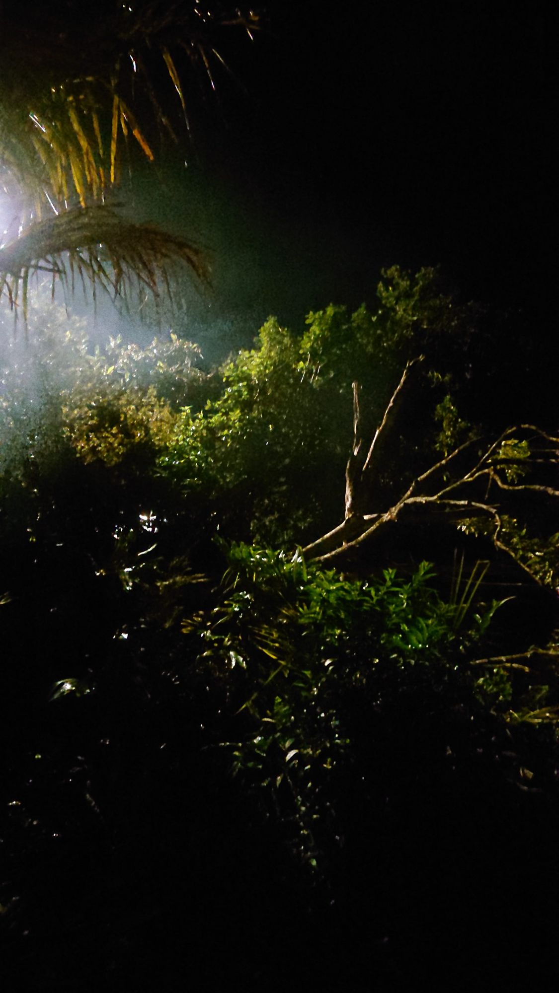 Minus workshop 7, part 1: naturalism / gesture