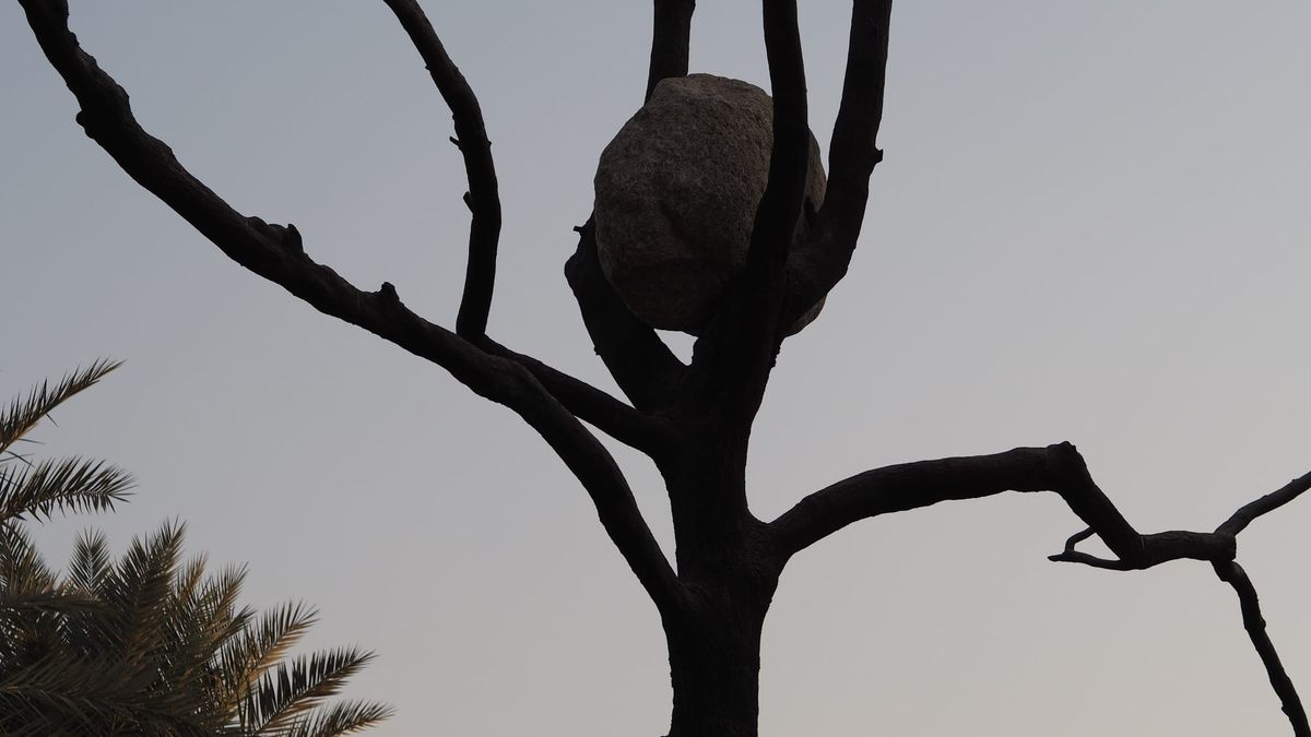 a few snaps back at the National Museum