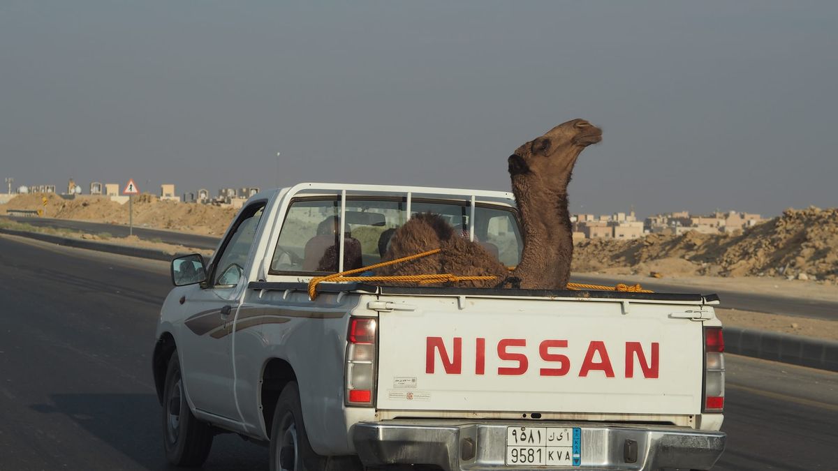 Nofa Equestrian Resort on horseback safari. . .
