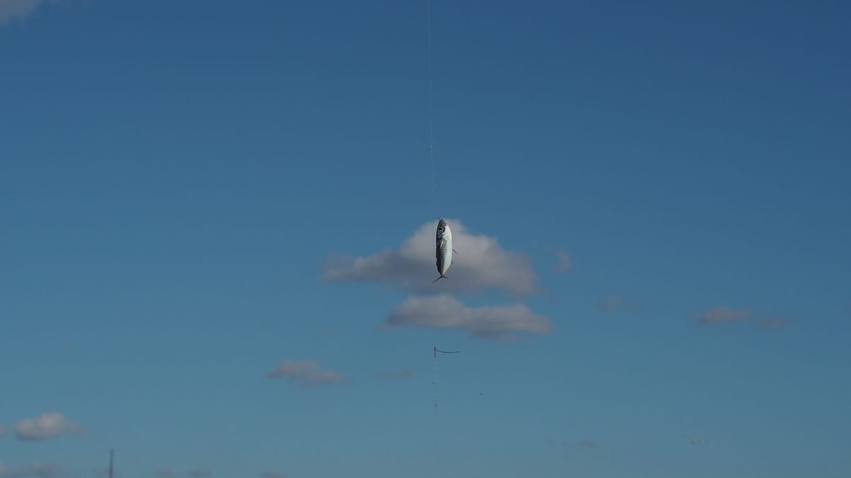 İstanbul not قسطنطينيه