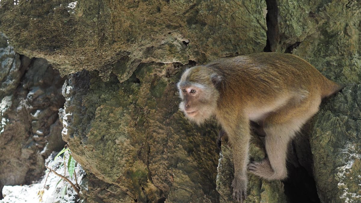 อ่าวนาง, Ao Nang & ไร่เลย์, Railay Beach