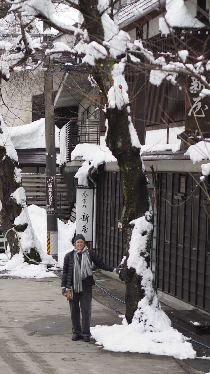 a tree imagines it's a tree