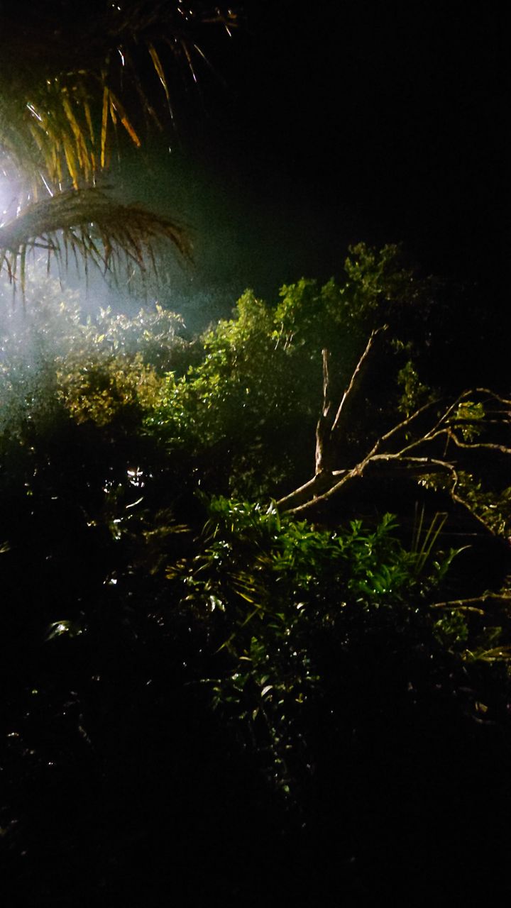 Minus workshop 7, part 1: naturalism / gesture