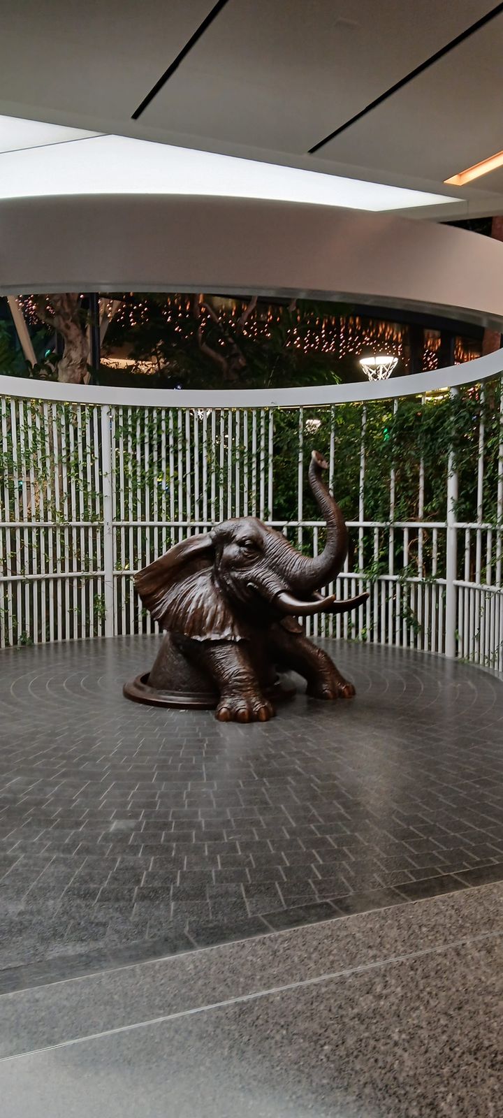 explaining my circumstance