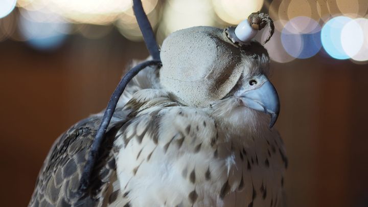 art after genocide, part II