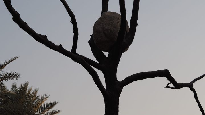 a few snaps back at the National Museum