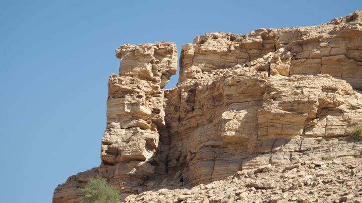 bbq on the wadi. . .