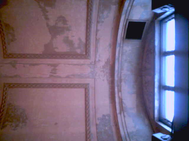 ceilingbraz11.jpg