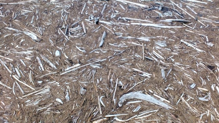DSC_0024
