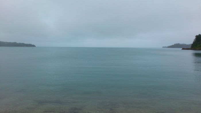 DSC_0028
