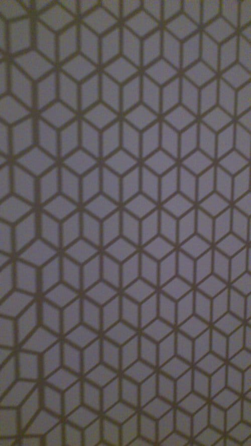 DSC_0054