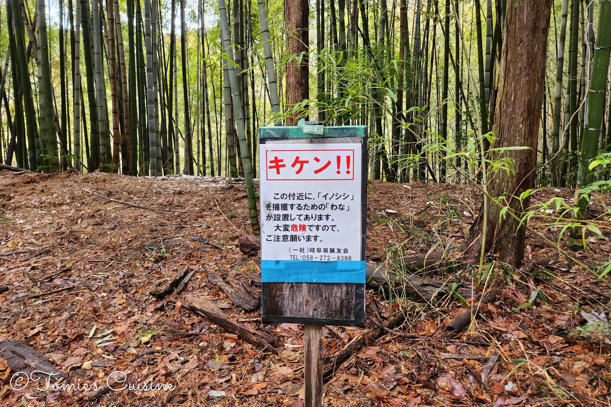 This particular sign warns about wild boar traps.