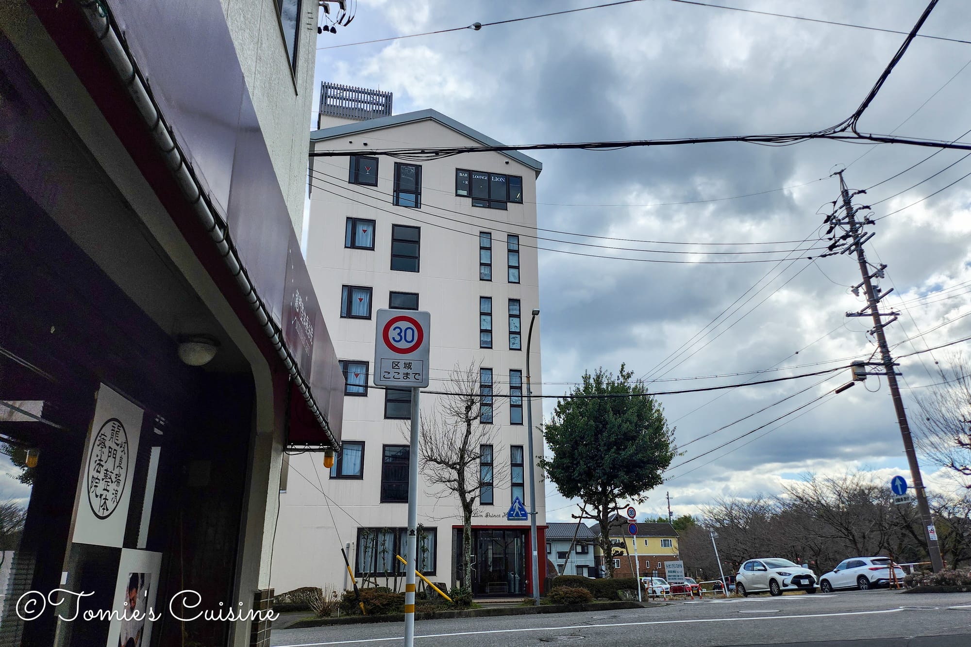 The Lion Prince Hotel in Mizunami City.