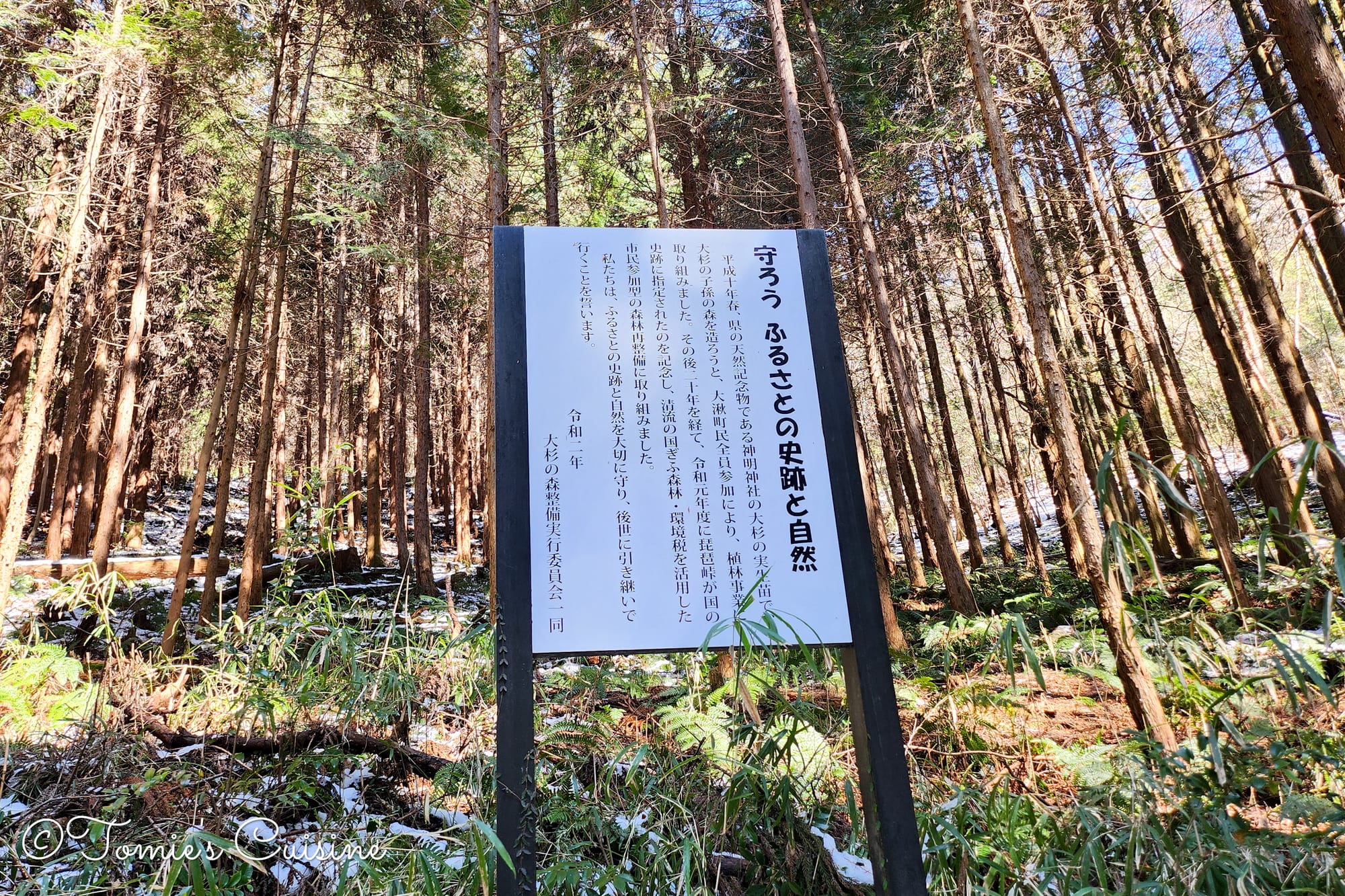 The board explains that the Okute locals are working on the project to protect the nature and historical site around this area. They planted cedar tree seedlings grown from the great cedar tree at Okute Shinmei Shrine. (You will see it in this article.)