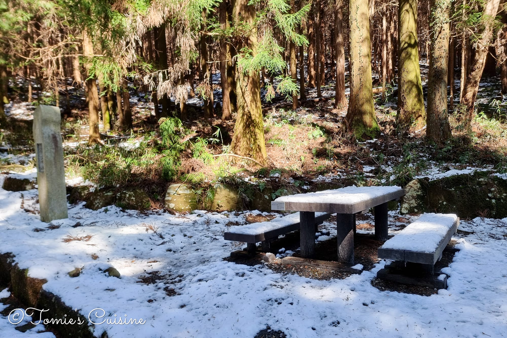 The picnic table was covered in snow.