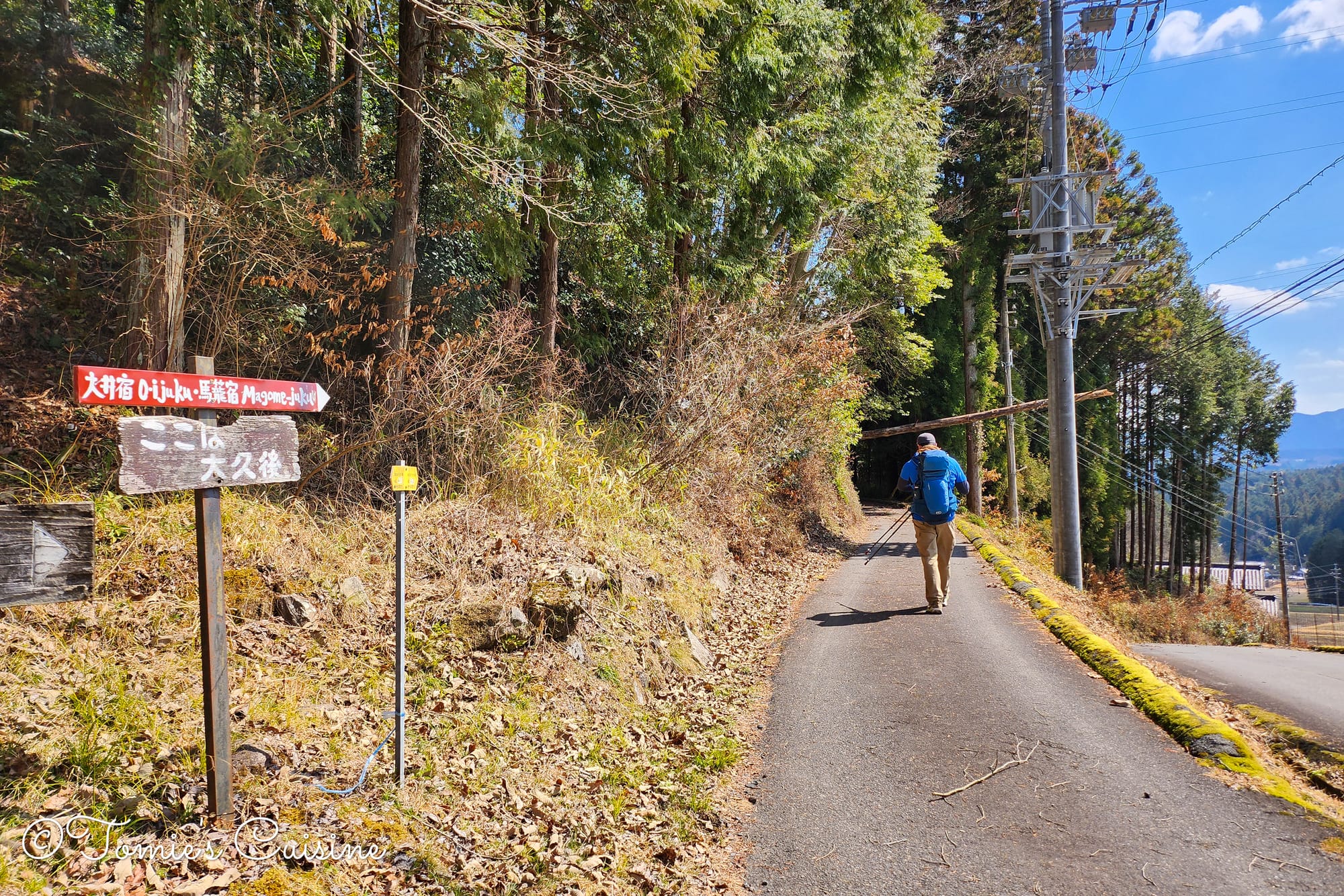 The first direction sign showing Ooi and Magome post towns. A tree leaned against a power line; we walked with care.