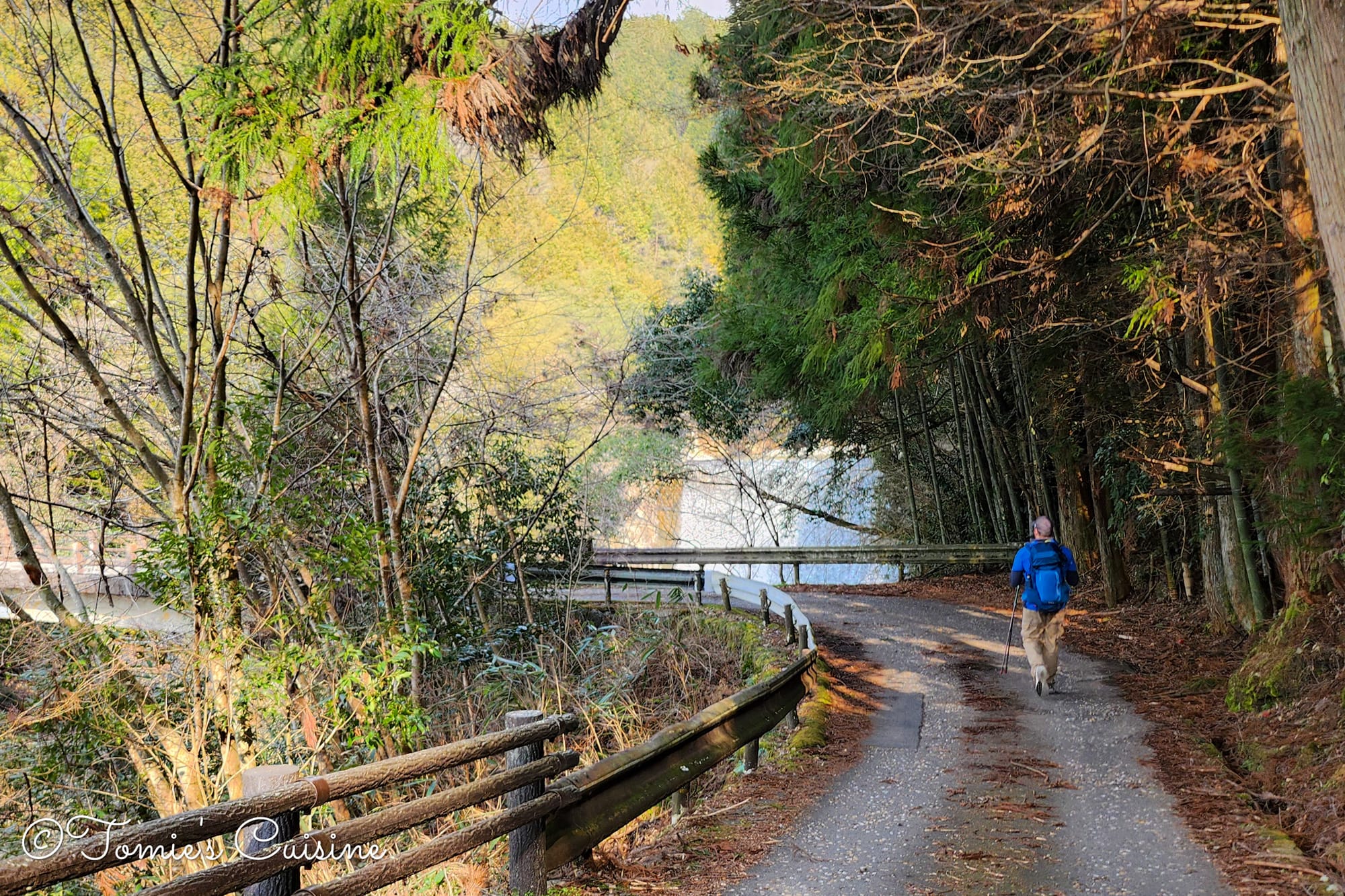 Kevin walking towards the Ochiai Ohashi bridge on a forest road