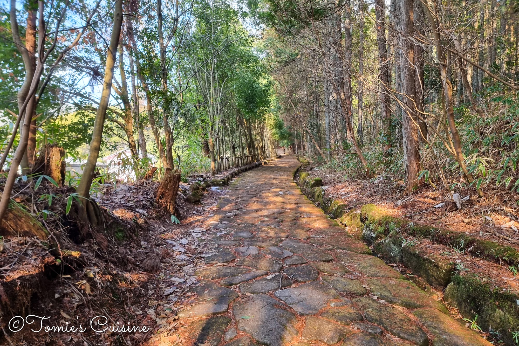 Start of the Ochiai stone pavement path through the forest, Gifu