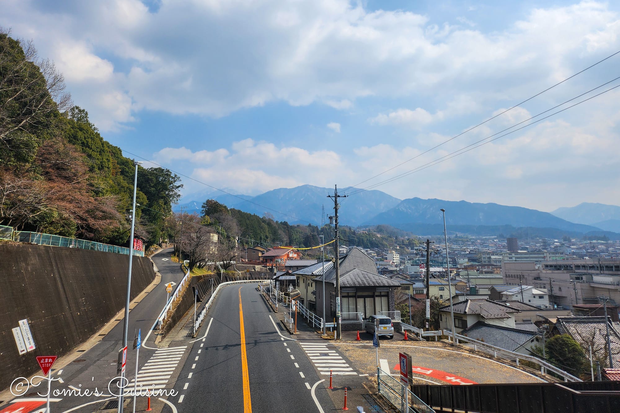 View over Nakatsugawa towards the mountains from a pedestrian bridge
