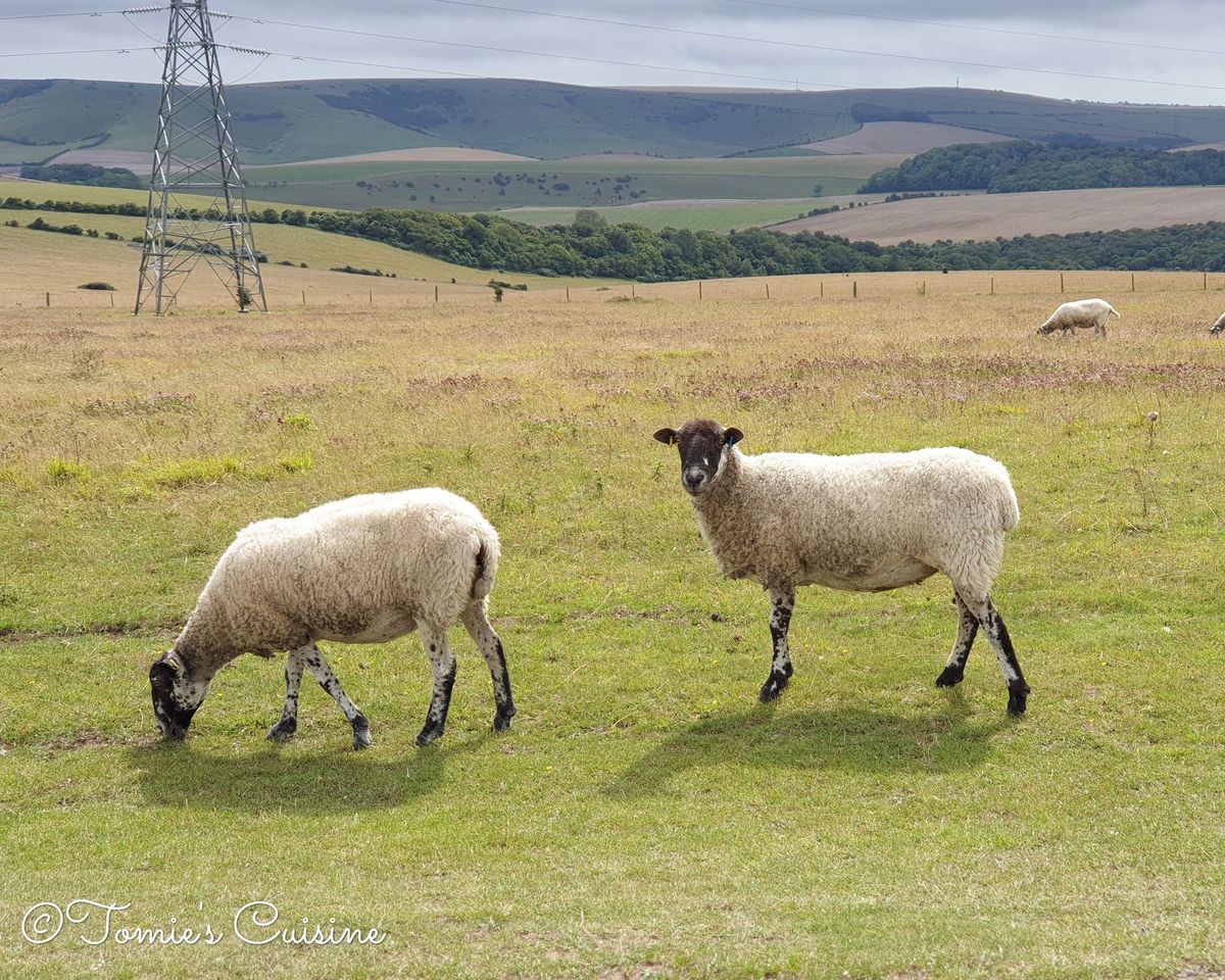 A short trip around Lewes, England