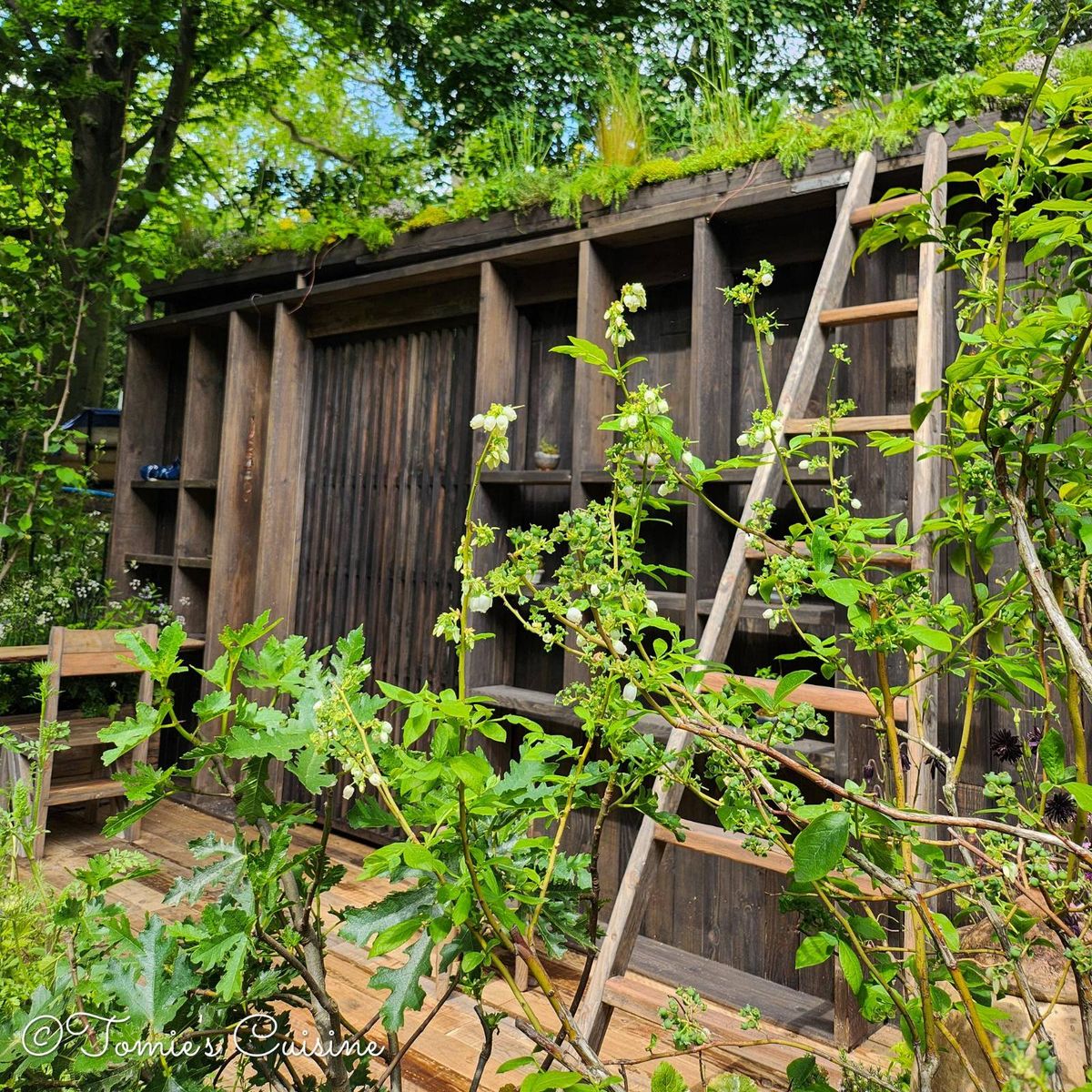 Get started with a sustainable garden